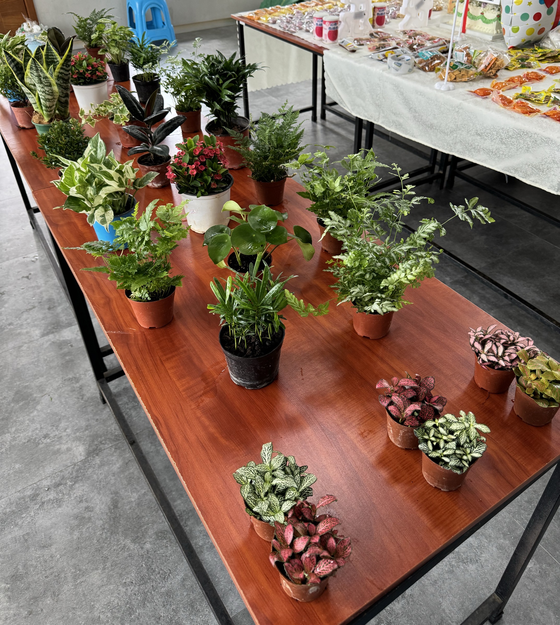 微信圖片_20240612151827.jpg 微信圖片_20240612151827.jpg